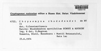 Image Associated With the Occurence